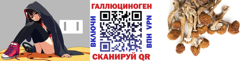 Псилоцибиновые грибы мухоморы  Волгоград 